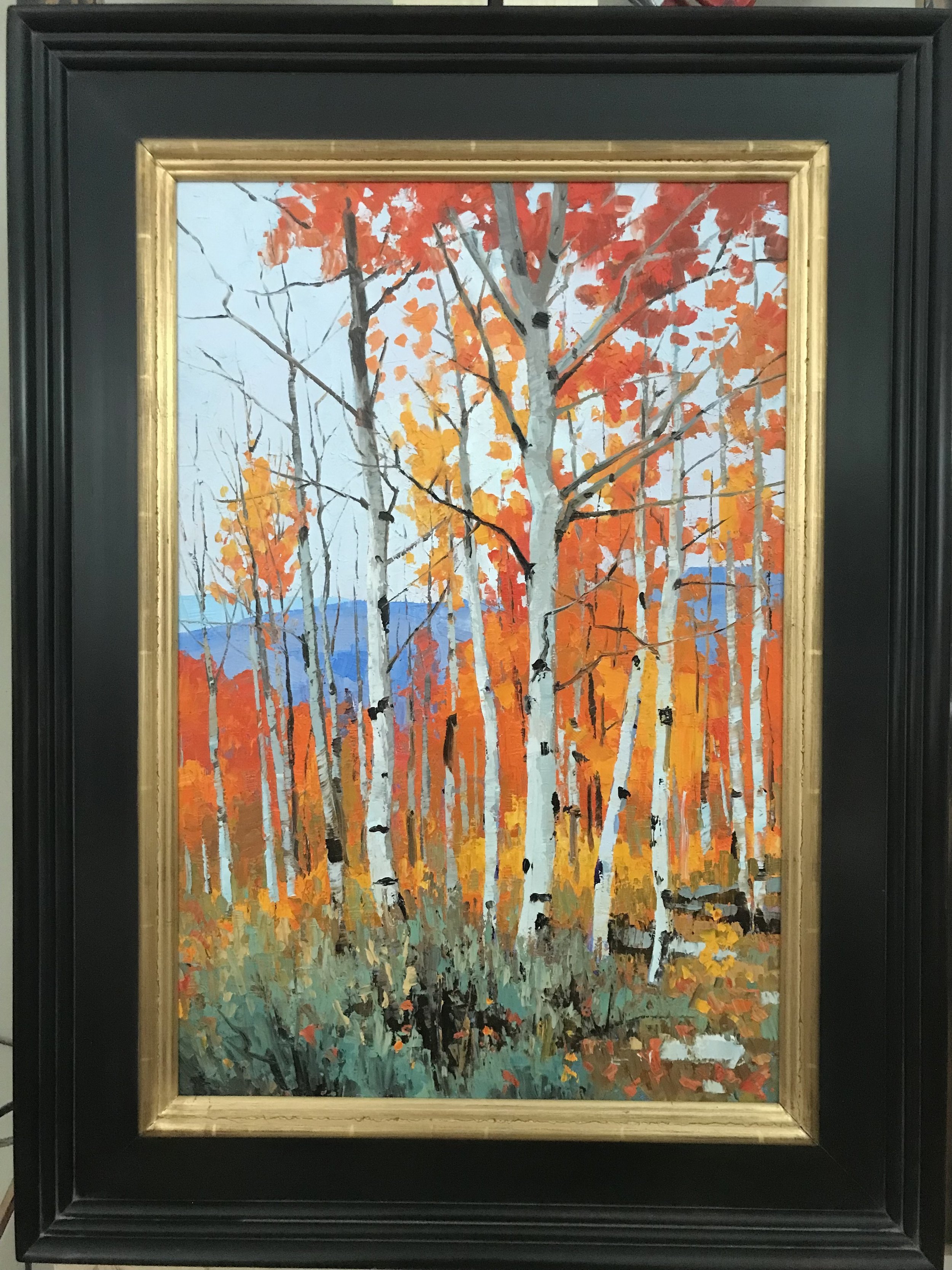Douglas Aagard — Dick Idol Signature Gallery